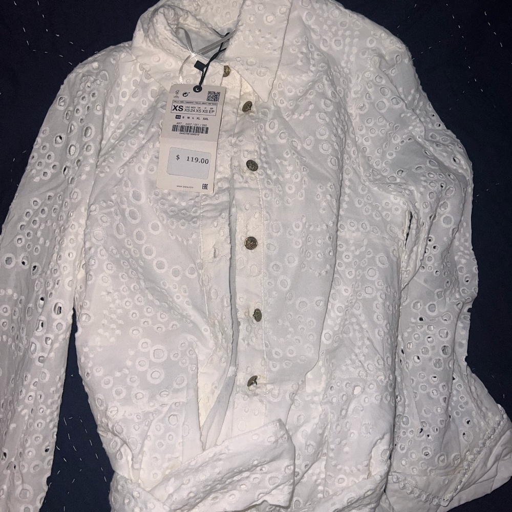 ZARA BRAND NEW EMBROIDERED LONG SLEEVE DRESS